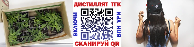 МЕГА tor  Белоярский  ТГК Wax 